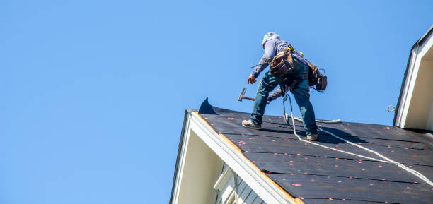 Best Storm Damage Roof Repair  in Snowflake, AZ